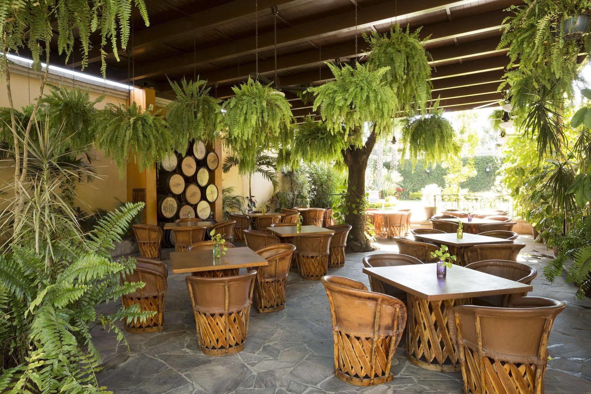 Hotel Villa Tequila Exterior foto